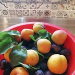 Sol Mar 3* אודסש