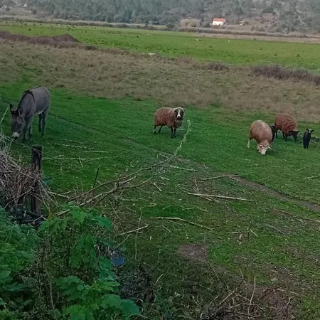 Sol Mar Penzion Odeceixe