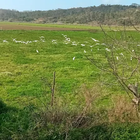 Penzion Sol Mar Odeceixe