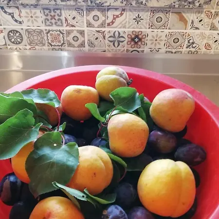 Sol Mar 3* 오데세시