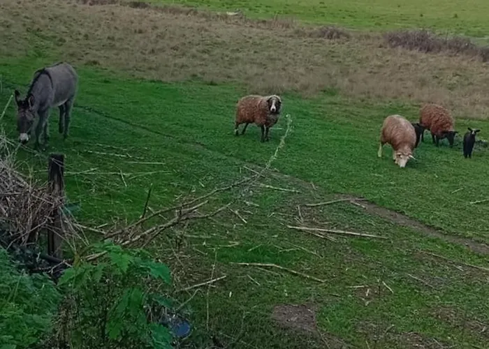 Sol Mar Gasthof Odeceixe